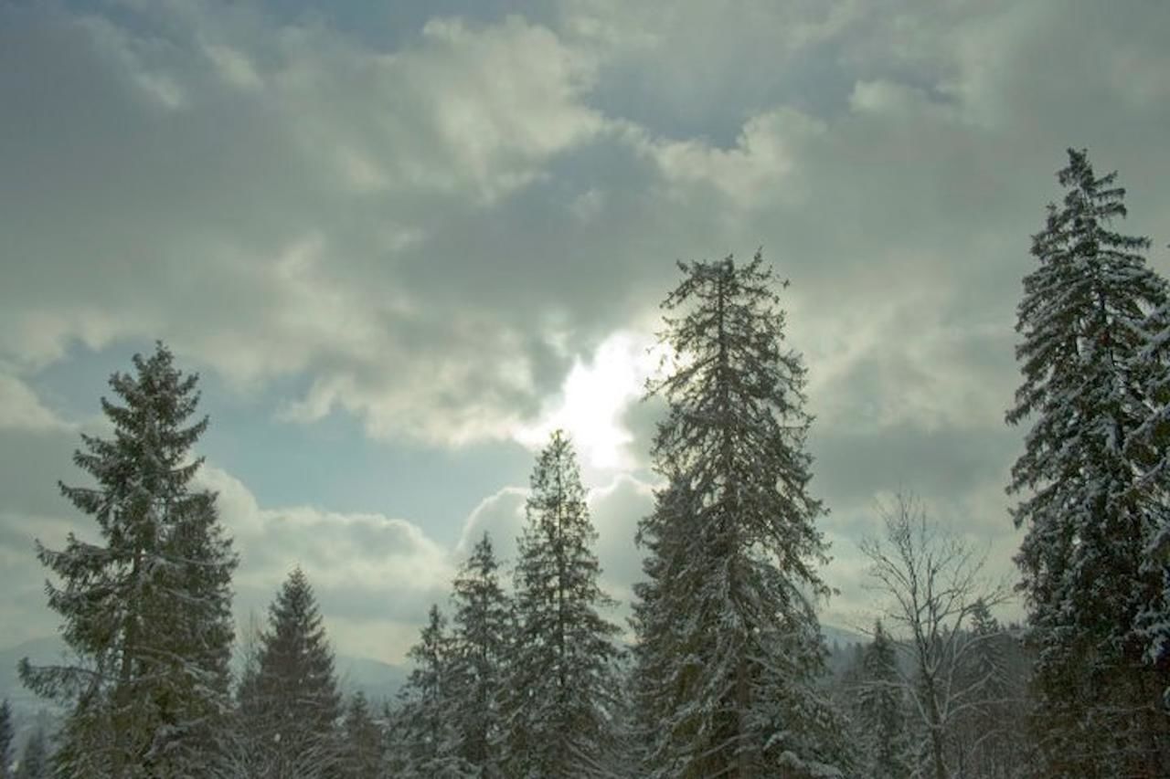 Отель Casa del Pozitiff Славское-11