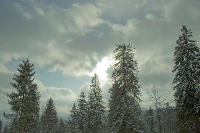 Отель Casa del Pozitiff Славское-10